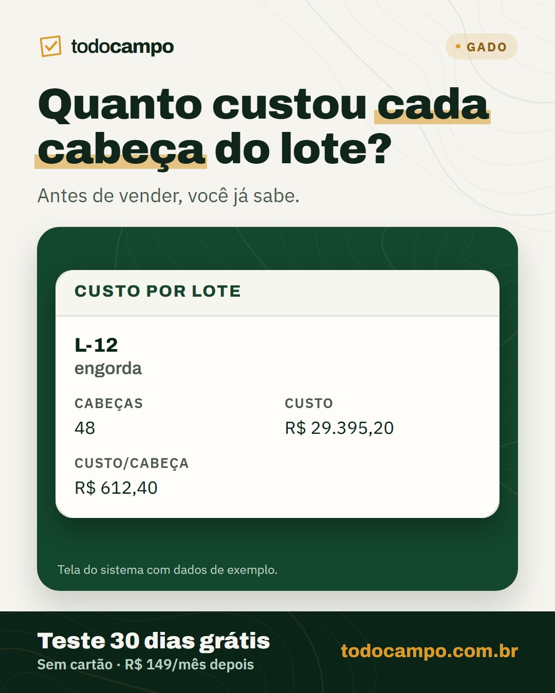 Tela do todocampo com o custo por cabeça do lote de engorda