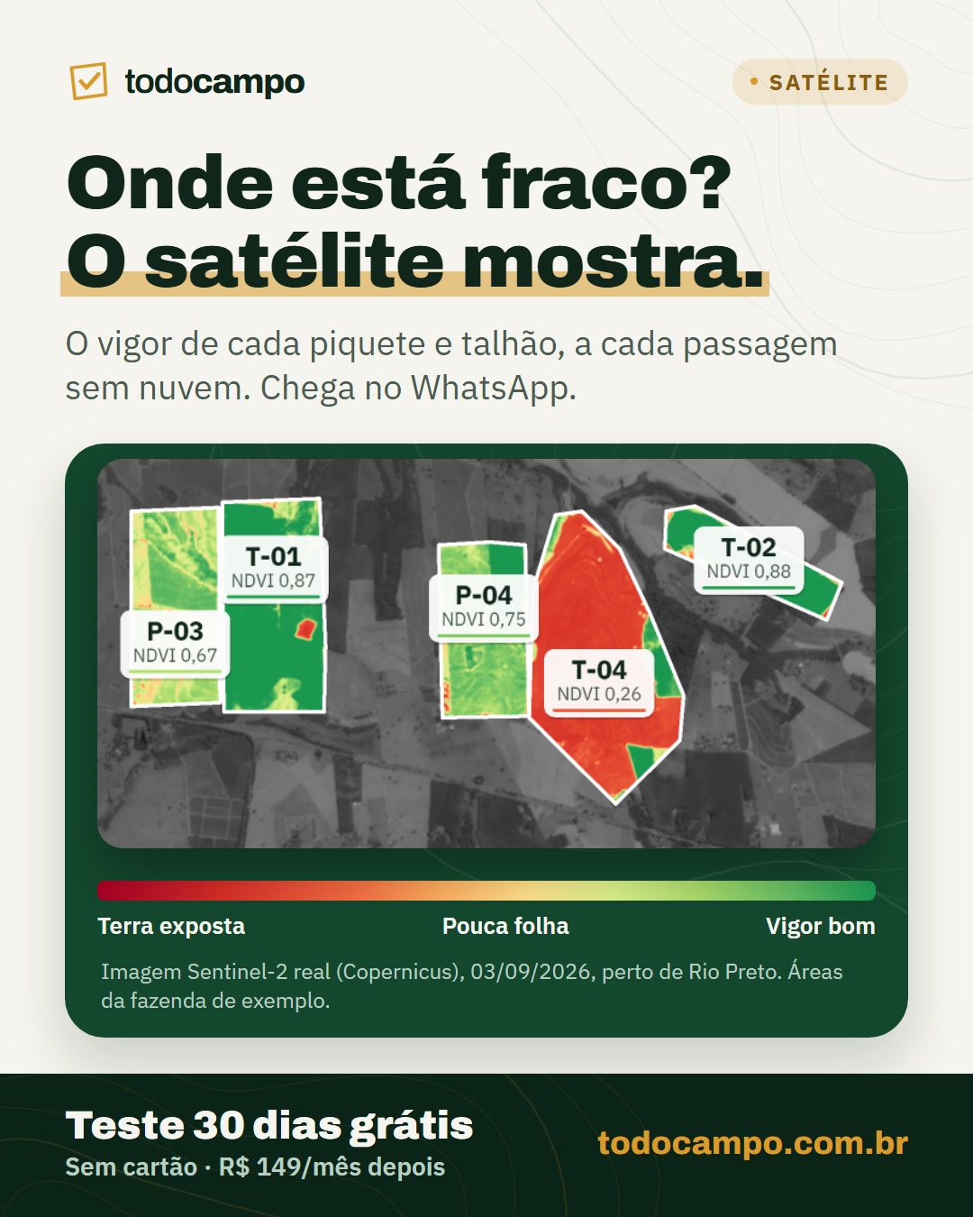 Mapa da fazenda com o NDVI de cada talhão e piquete sobre a imagem de satélite